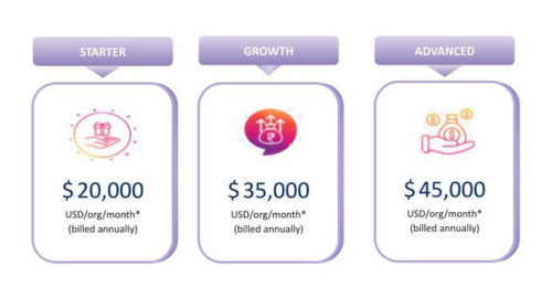 A startup goes through four key stages of growth as shown in the diagram: ideation , validation , scaling , and maturity .