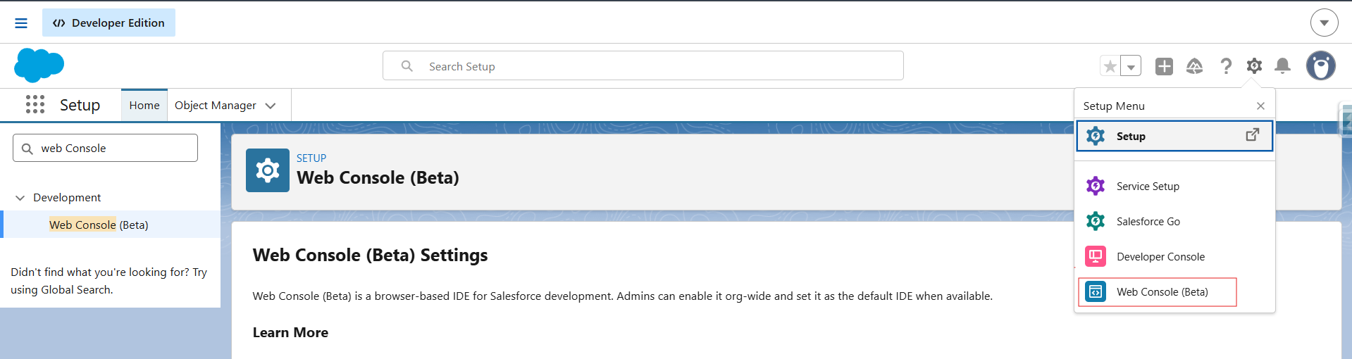 Web Console Option