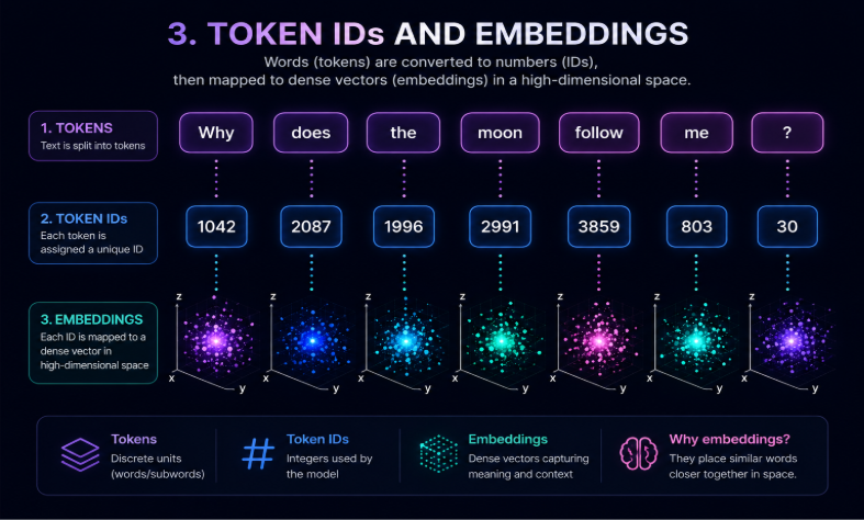 Token ID and Embeddings