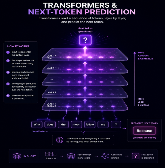 Transformers and Next-Token Prediction